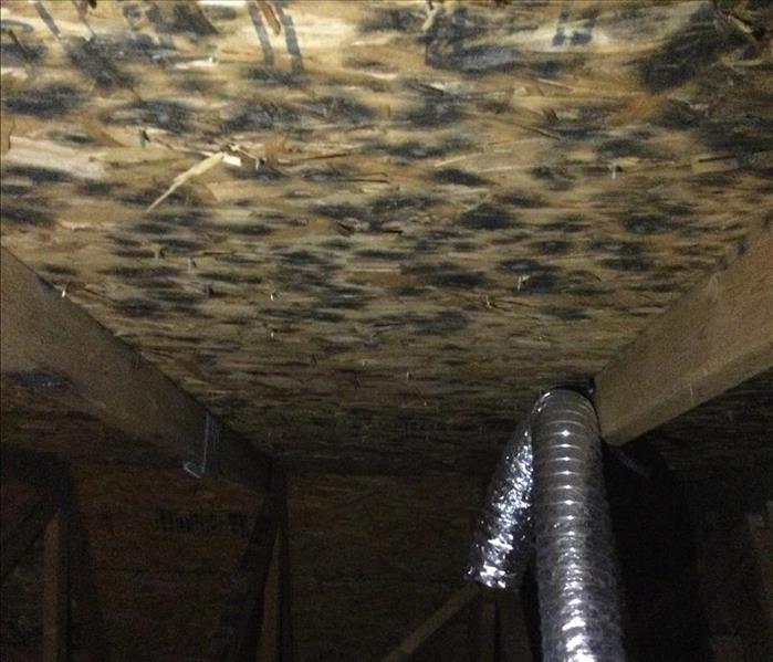 mold in attic in wichita